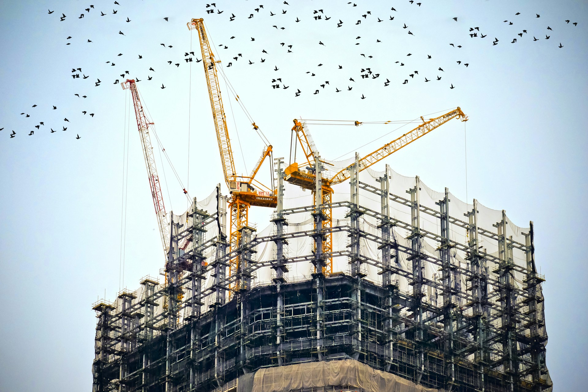 framing work of building with cranes